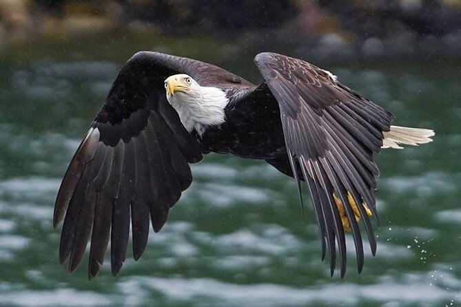 Bering Sea Crab Fishermans Tour From Ketchikan - Overall Experience