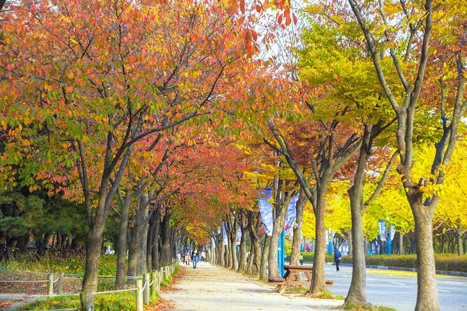 Best View Seoul Autumn Foliage Tour - What to Expect Onboard