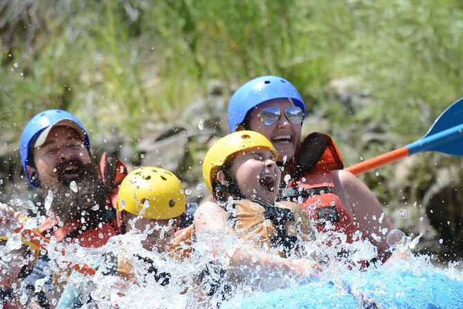 Bighorn Sheep Canyon Half-Day Rafting - Scenic Desert Landscape Exploration