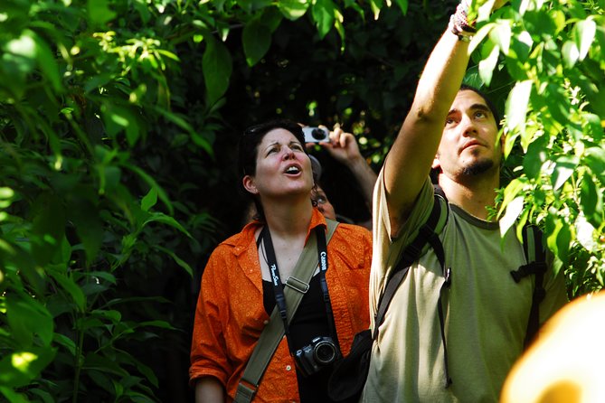 Birdwatching in Sian Kaan and Muyil Archaeological Site From Tulum - Meeting Point Information