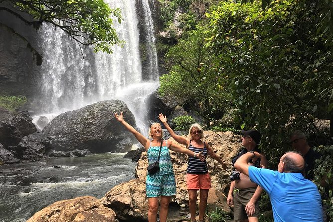 Blue Mountains Small-Group Insider Tour From Sydney - Reviews and Ratings Overview