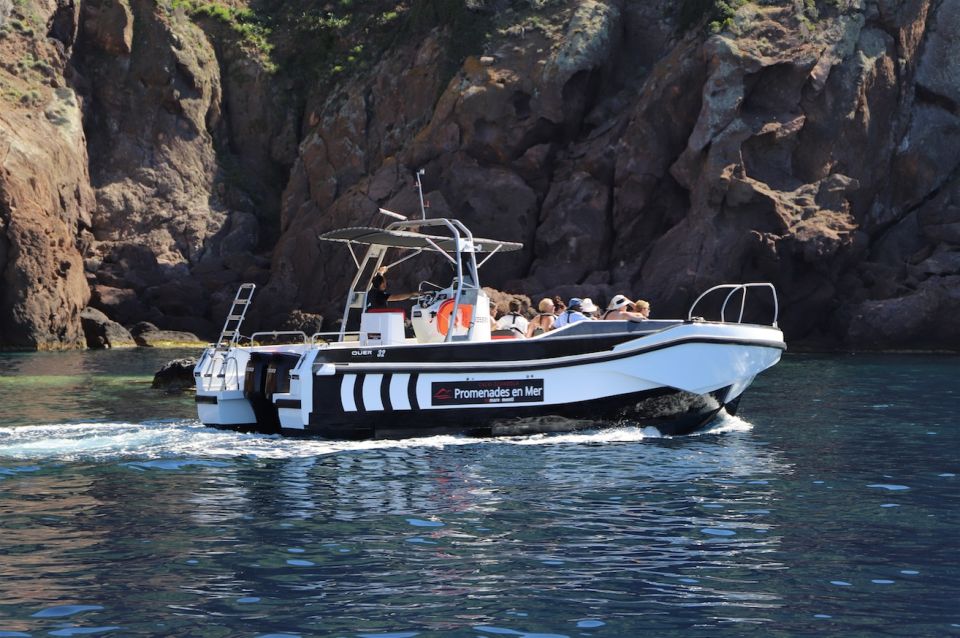 Calvi to Scandola: 4-Hour Boat Tour - Ticket Information