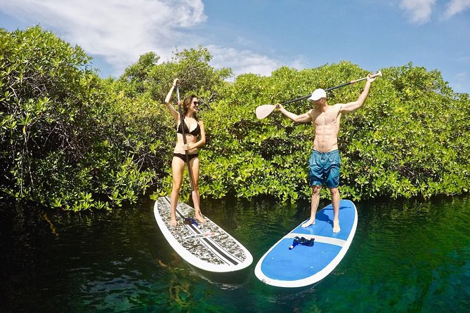 Cenote Paddleboarding and Snorkeling in Tulum - Customer Support and Assistance