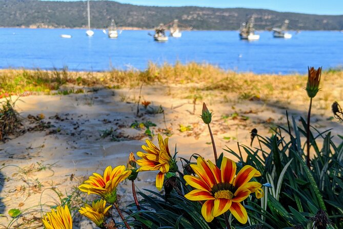 CENTRAL COAST PRIVATE TOUR Waterfalls, Beach Lookouts, Aboriginal Rock Art - Waterfall Wonders of the Coast