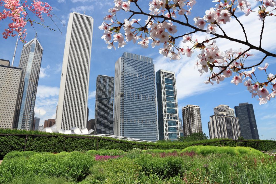 Chicago: Self-Guided Audio Walking Tour - Meeting Point Details