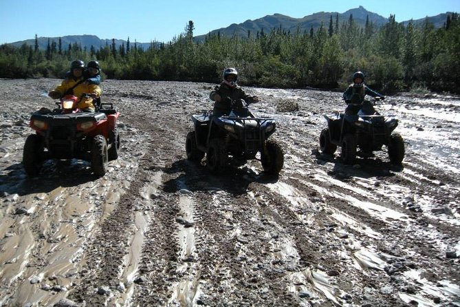 Classic ATV Adventure With Back Country Dining - Customer Satisfaction and Reviews