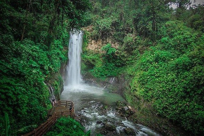 COMBO Tour: Coffee, Poas Volcano and La Paz Waterfall Gardens - Tour Highlights