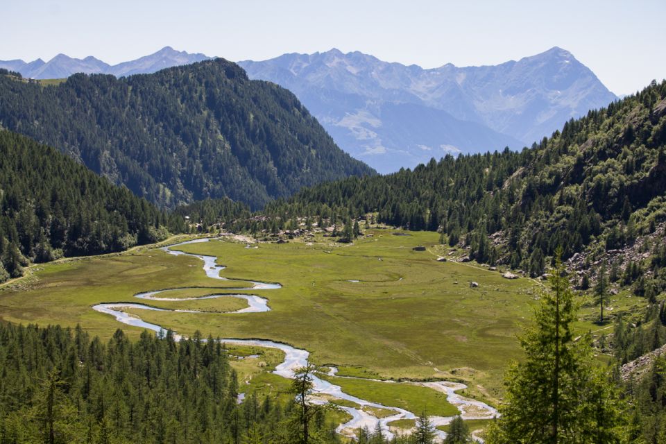 Como Lake: Valmasino and Preda Rossa Full-Day Hike - Restrictions