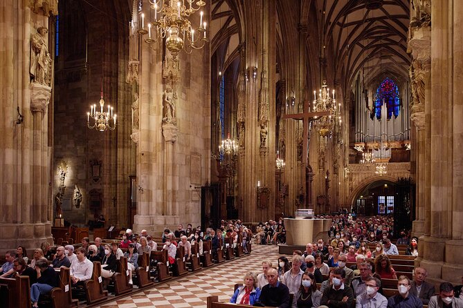 Concert at Viennas St. Stephens Cathedral - Accessibility Details