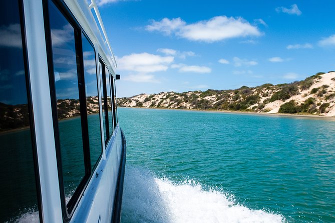 Coorong 3.5-Hour Discovery Cruise - Onboard Amenities and Services