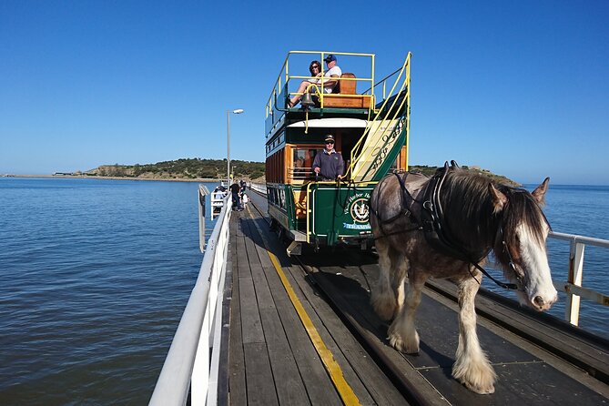 Coorong Discovery Cruise and Tour - Accessibility and Safety