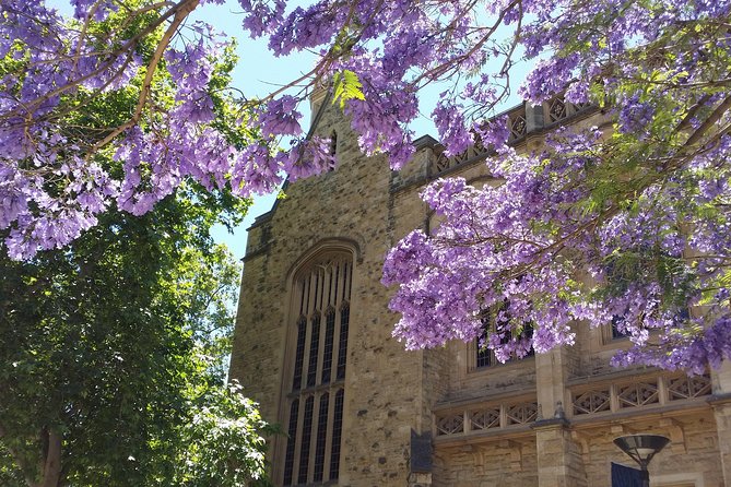 Cultural Caper Adelaide Walking Tour - Reviews and Ratings From Travelers