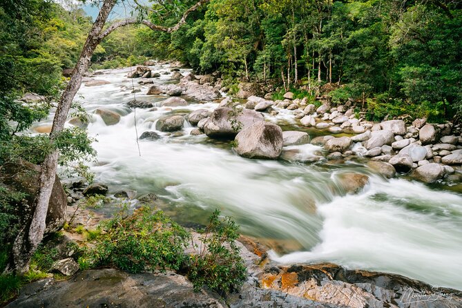 Daintree Ancient Giants Easy Rainforest Hike, Beach, Swim & Lunch - Important Health and Safety