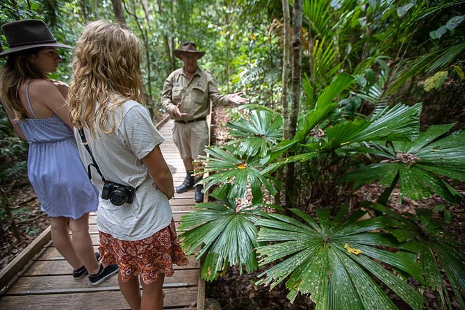 Daintree Rainforest and Cape Tribulation Full Day Tour - Logistics and Pickup Points