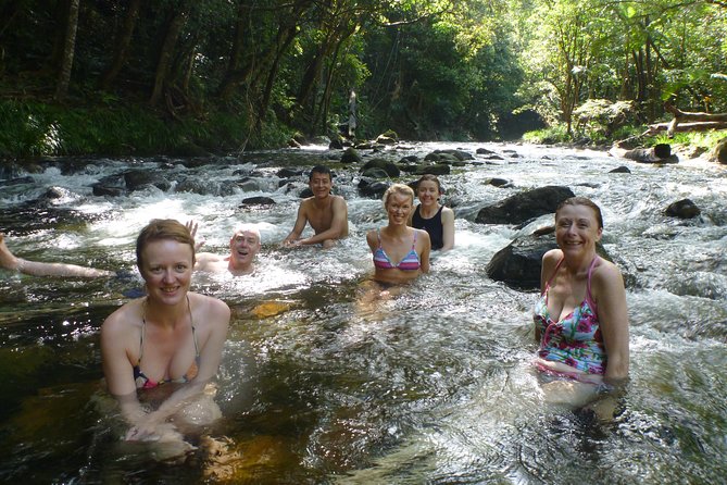 Daintree Rainforest, Mossman Gorge Small-Group From Port Douglas - Expert Guides Make a Difference