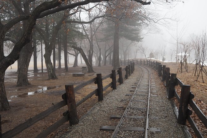 Day Tour to Gangchon Rail Bike Nami Island and Petite France - Cancellation and Refund Policy