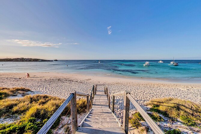 Discover Rottnest With Ferry & Bus Tour - Real Reviews From Satisfied Travelers