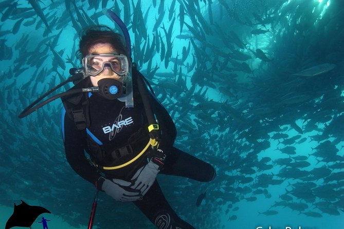 Discover Scuba Diving for Beginners With MANTA in Cabo San Lucas - Customer Feedback and Reviews