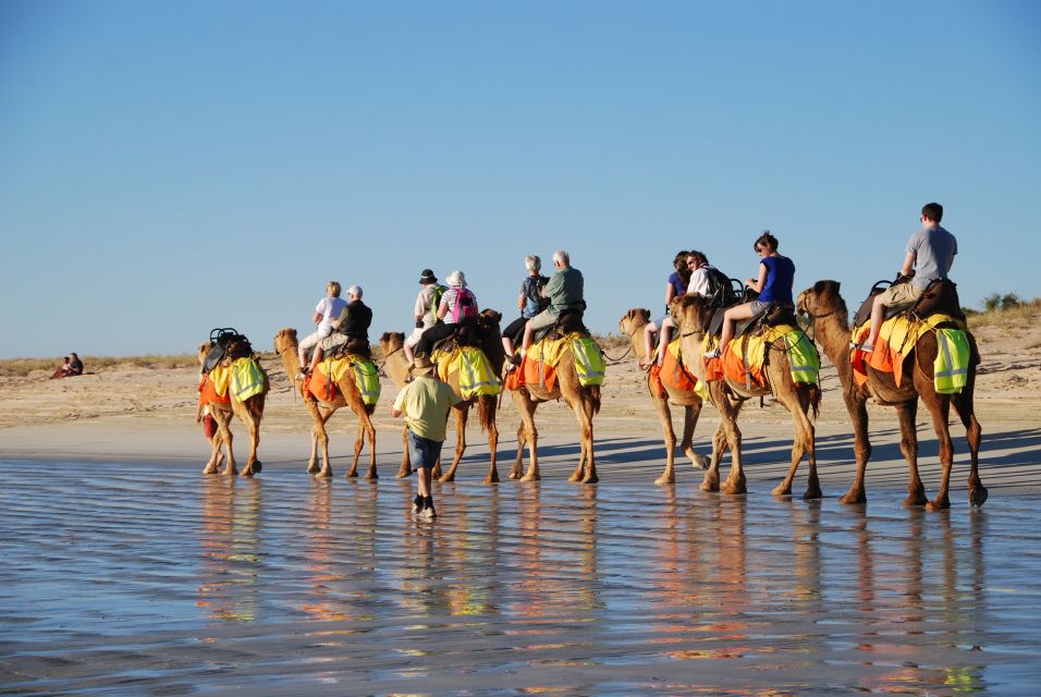 Djerba: Lagoon Camel Ride Experience - Directions and How to Book