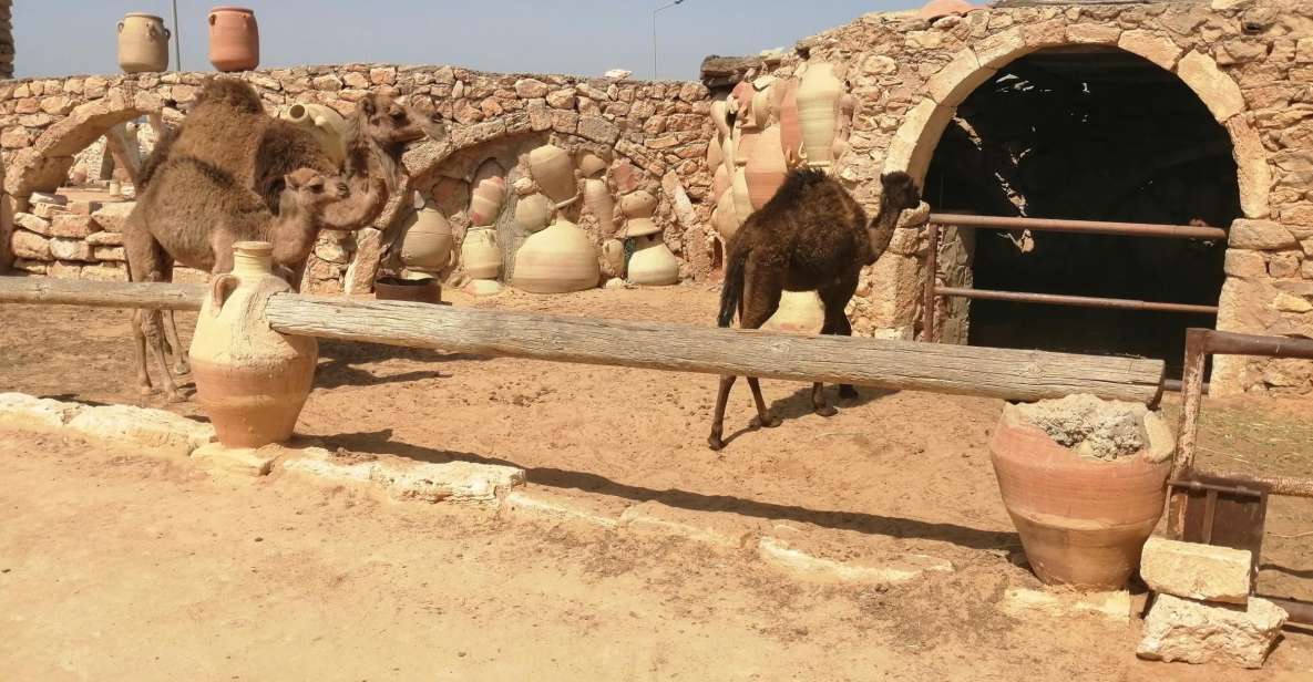 Djerba: Pottery Village and Heritage Museum Tour - Common questions