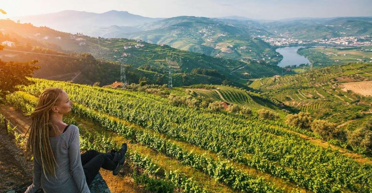 Douro Valley: Full-Day Private Wine Tour With Lunch - Important Information