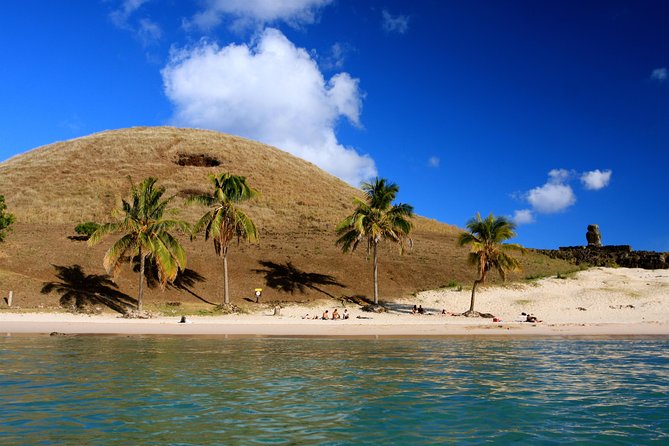 Easter Island Full-Day Tour: Ahu Tongariki, Rano Raraku and Anakena Beach - Visitor Feedback Summary