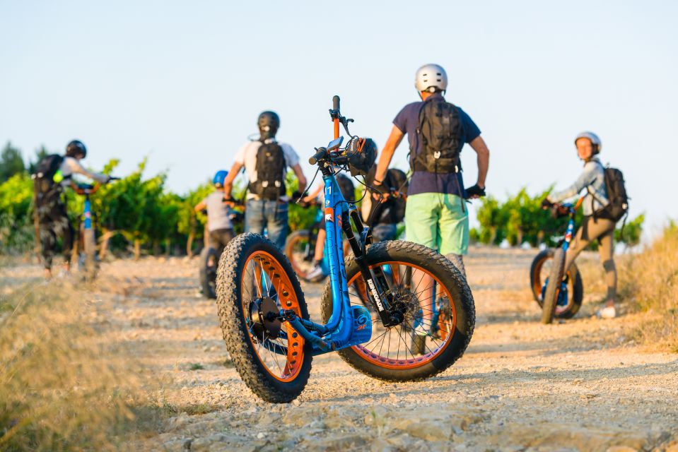 Electric Scooter Tour of Our Vineyard and Wine Tasting - What to Expect on the Tour