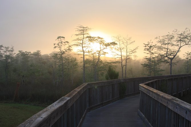 Everglades Airboat Nature Tour From Greater Fort Myers - Tour Highlights