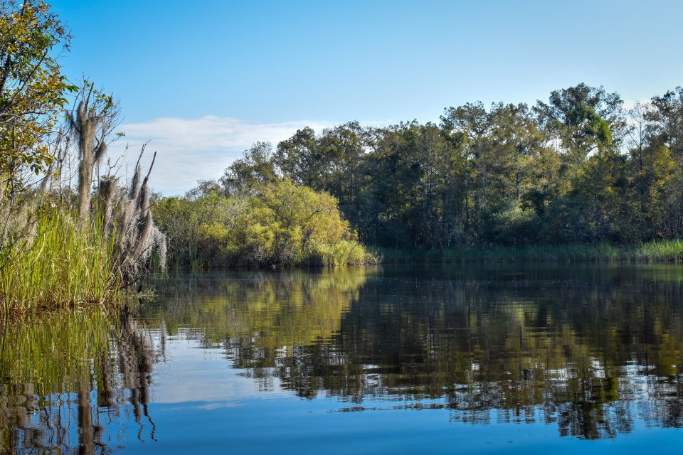 Everglades City: Guided Kayaking Tour of the Wetlands - Highlights