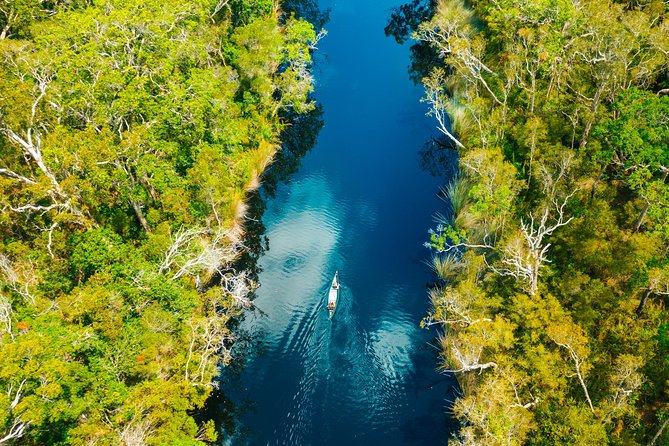 Everglades Explorer - Noosa Everglades Tour - Reviews and Ratings Summary