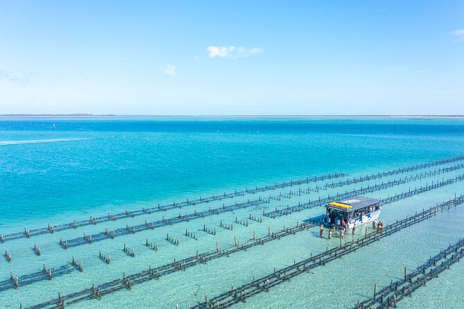 Experience Coffin Bay Oyster Farm and Bay Tour - Enjoying the Oyster Farm Experience