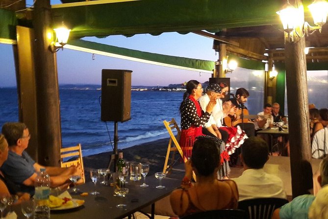 Flamenco Evening and Barbecue by the Sea at the Blue Dolphin Beach Club - Visitor Feedback