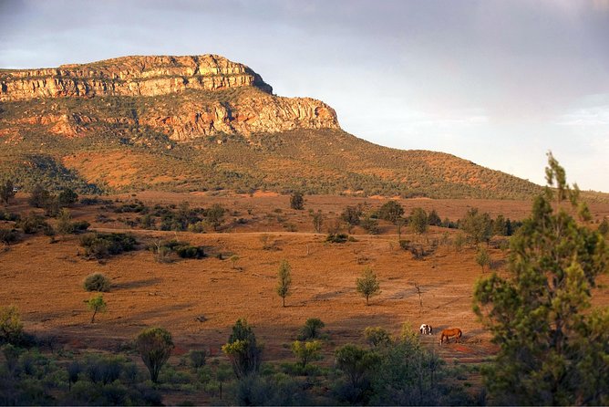 Flinders Ranges 3-Day Small Group 4WD Eco Tour From Adelaide - Wine Tasting in Clare Valley