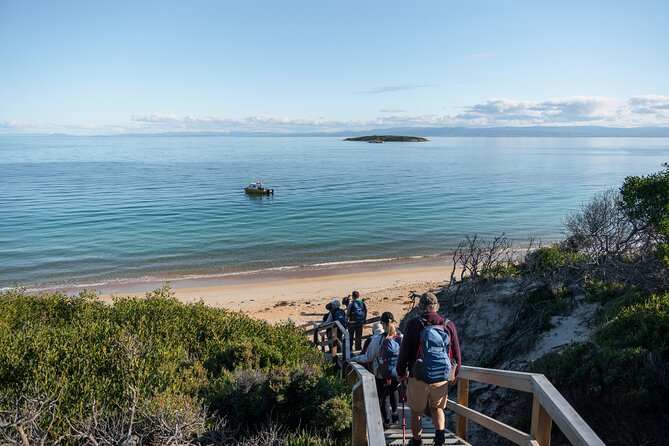 Freycinet Walking Tour - Essential Tour Information