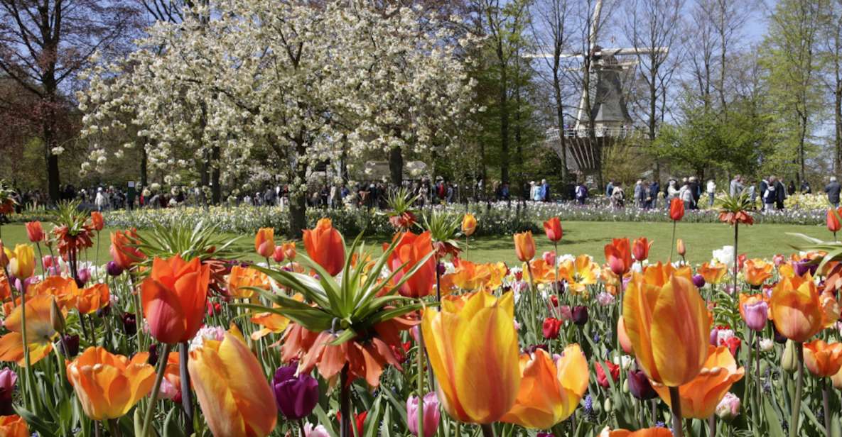 From Leiden Central: Keukenhof Ticket & Public Bus Transfer - Payment and Reservation