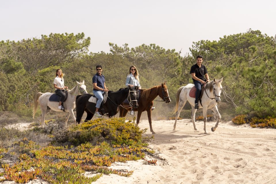 From Lisbon: Comporta and Setúbal Trip With Horseback Riding - Important Information