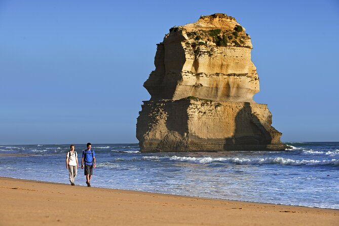 From Melbourne：Great Ocean Road 1-Day Tour in Chinese - Cancellation and Refund Policy