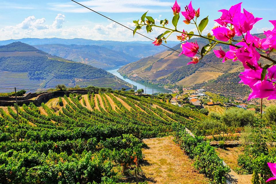 From Porto: Douro Valley Small Group Food and Wine Tour - Inclusions