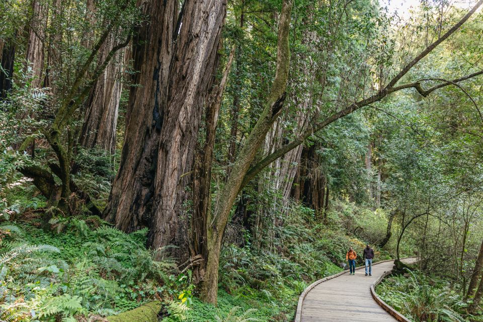 From San Francisco: Muir Woods National Monument Guided Tour - Important Information