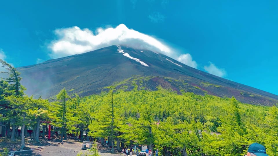 From Tokyo: Mt. Fuji Private Guided Day Tour With Hotel … - Traveler Review