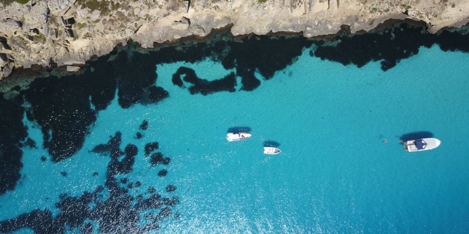 From Trapani: Favignana & Levanzo Luxury Private Boat Trip - Inclusions