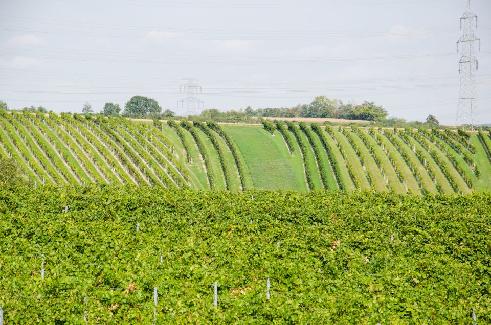 From Vienna: Half-Day Countryside Wine Tour With Meal - Inclusions