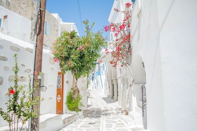 Full Day Bus Tour in Paros and Antiparos Islands From Paros - Customer Recommendations