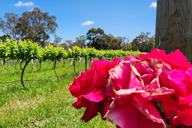 Full-Day Canberra Winery Tour to Murrumbateman /W Lunch - Cancellation and Refund Policy