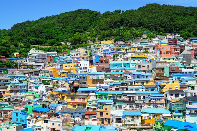 Full-Day Customizable Private Busan Highlight Tour - Cancellation and Refund Policy