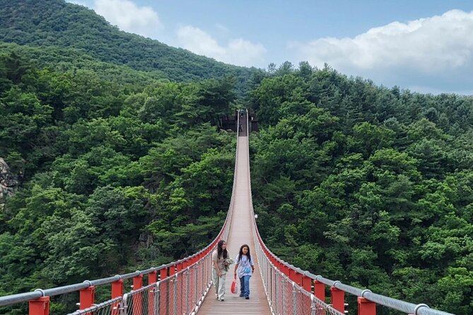 Full Day DMZ With Red Suspension Bridge Tour From Seoul - About the Tour Operator