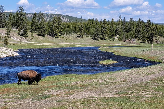 Full-Day Guided Yellowstone Day Tour - Customer Experience