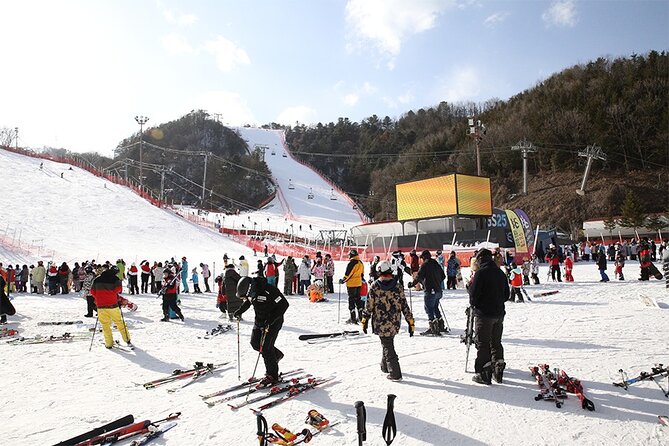 Full Day Private Tour Nami Island & Gangchon Elysian Ski - Cancellation and Refund Policy