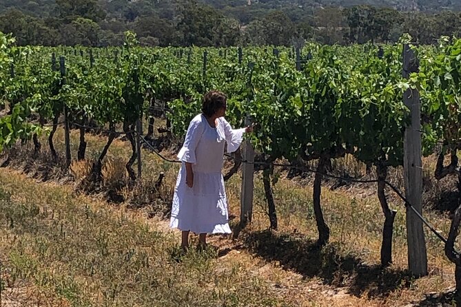 Full-Day Private Wine Tour of the Stanthorpe Area With Lunch - Booking and Cancellation Policies