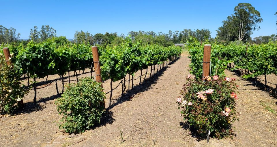 Full-Day Wine Tour to Napa & Sonoma 3 Tastings Included - Common questions